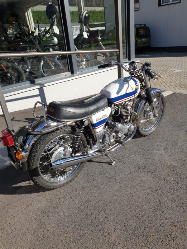 Norton - Comando - immagine 4